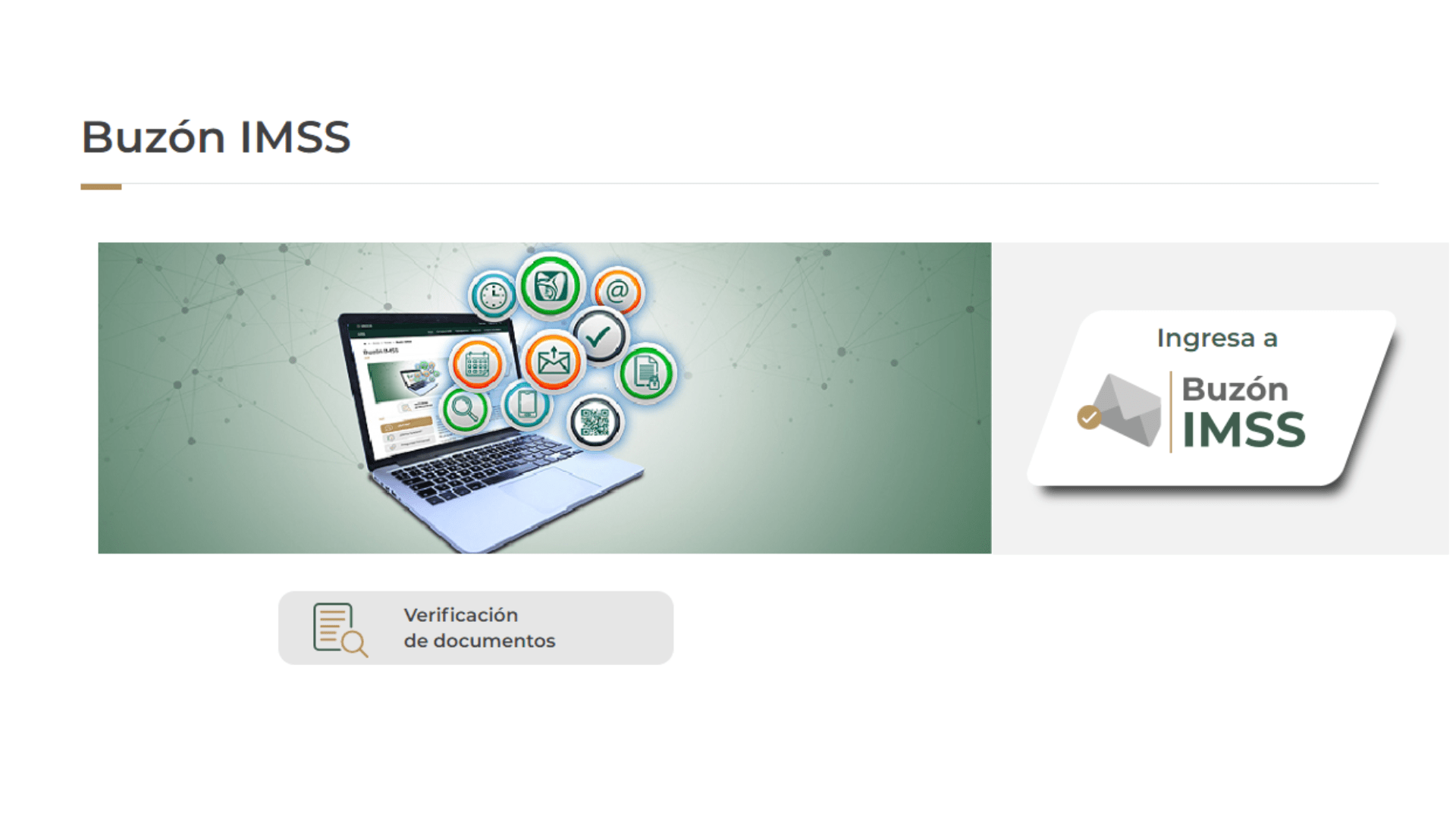 Buzón IMSS, notificaciones IMSS, lineamientos IMSS, trámites IMSS, comunicación efectiva IMSS